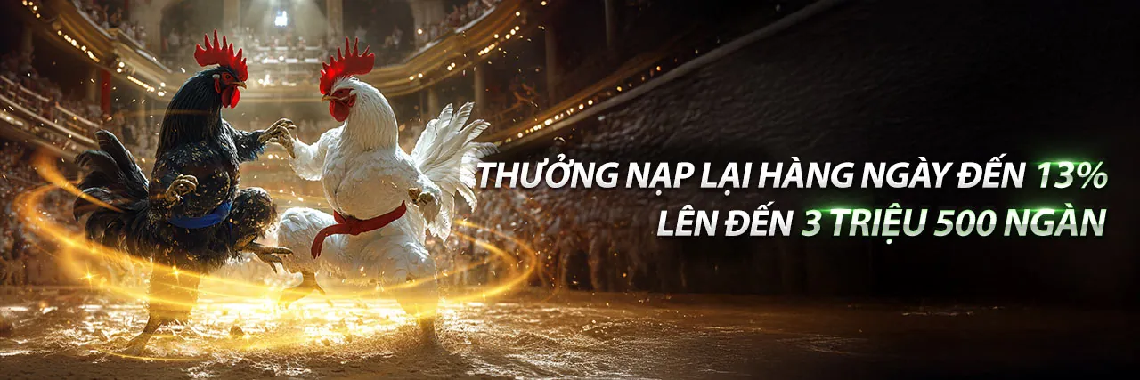 Đấu trường đá gà kịch tính tại rr888 chính thức